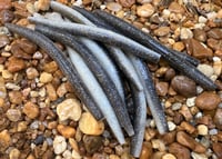 Image 6 of SENKO SHAD Worm  5" 