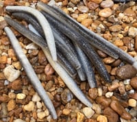 Image 9 of SENKO SHAD Worm  5" 