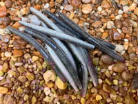 Image 11 of SENKO SHAD Worm  5" 