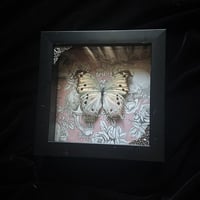 Mother of Pearl Butterfly - Pink Skulls