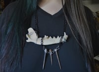 Image 2 of Coyote Jaw Necklaces