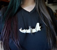 Image 3 of Coyote Jaw Necklaces
