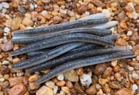 Image 2 of SENKO SHAD Worm  5" 