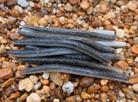 Image 1 of SENKO SHAD Worm  5" 