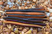 Image 1 of  SENKO CRAW Worm  5" 
