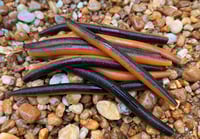 Image 10 of  SENKO CRAW Worm  5" 