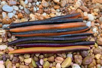Image 4 of  SENKO CRAW Worm  5" 