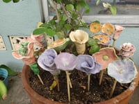 Image 1 of A selection of flowers