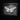 White Witch Moth - Grey Damask