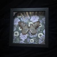 Rice Paper Butterfly - Violet Florals