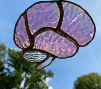 Image 3 of Lobes: small pink iridescent