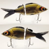 GWP Glider - Golden Shiner
