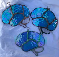 Image 3 of Lobes: small blue iridescent