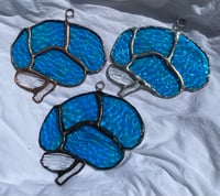 Image 4 of Lobes: small blue iridescent