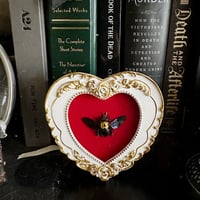Xylocopa Confusa Yellow Carpenter Bee - Heart Frame - Red