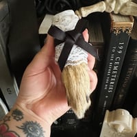 Victorian Mourning Coyote Foot - Black Bow