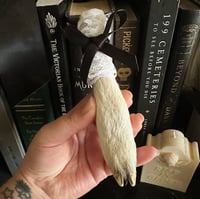 Victorian Mourning Goat's Foot - Black Bow