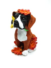 Image 1 of Fall Sunflower Boxer no.1