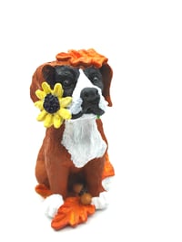 Image 2 of Fall Sunflower Boxer no.1