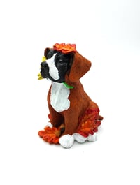 Image 4 of Fall Sunflower Boxer no.1