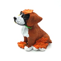 Image 2 of Fall Sunflower Boxer no.2