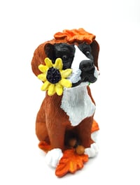 Image 1 of Fall Sunflower Boxer no.2