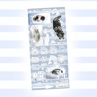 Cat heaven 