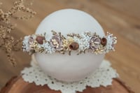 Newborn/Sitter Halo 76