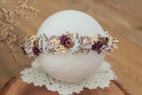 Newborn/Sitter Halo 77