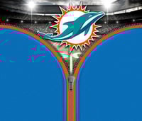 Image 1 of Miami Dolphins
