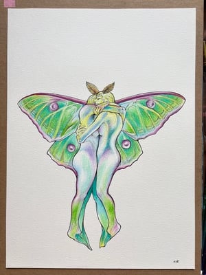 Image of Original Moth Hug 11”x15”