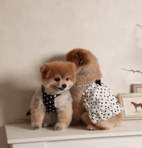 Image 1 of POLKADOT TOP - BLACK