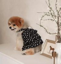 Image 2 of POLKADOT TOP - BLACK