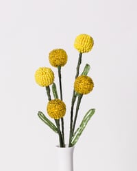 Image 1 of Beaded Billy Buttons