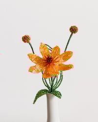 Image 1 of Beaded Cosmos