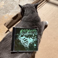 Image 3 of Shout A Name CD