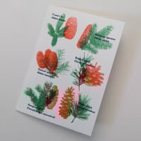 Winter Trees cards