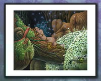 Image 1 of Midnight Nap