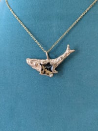 Image 3 of Soffione 🐳