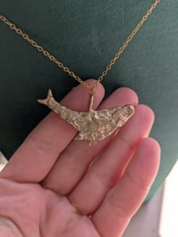 Image 5 of Soffione 🐳