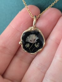 Image 2 of Bocciolo classico nero