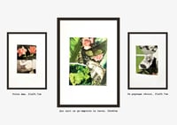 Image 2 of "Vert printemps"