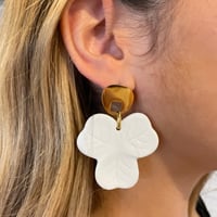 Image 4 of MODULAIRES EN BISCUIT 