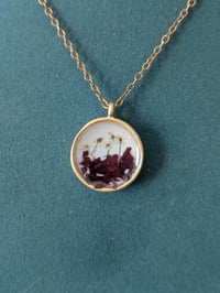 Image 1 of Ciondolo Tarassaco Daucus 