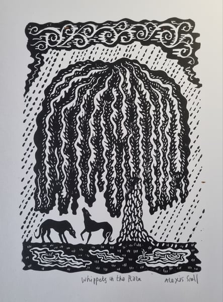 Image of Whippets in the Rain