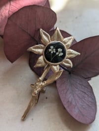 Image 4 of Eco di bronzo nera