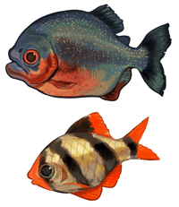 Fish Charms