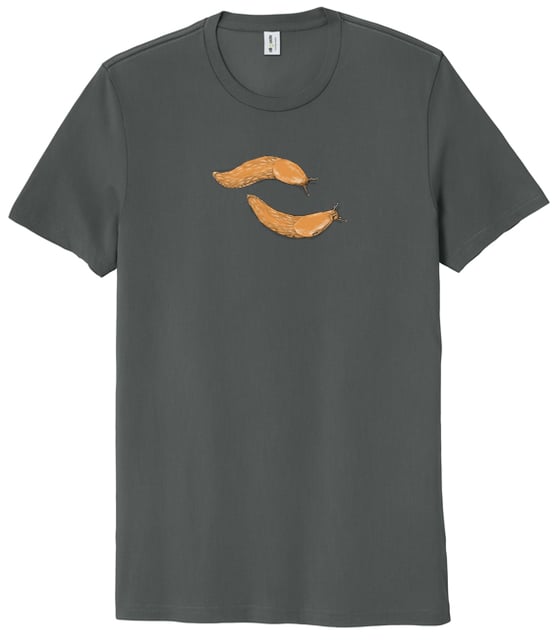 Image of Slugs! Gray organic t-shirt
