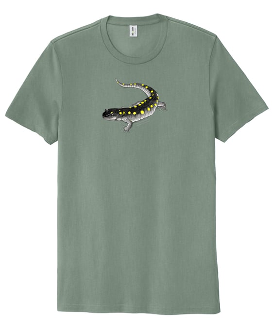 Image of Spotted Salamander organic t-shirt