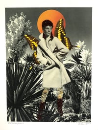 Image 2 of Metamorphosis